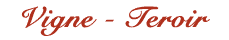 Vigne - Teroir