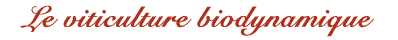 Le viticulture biodynamique