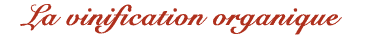 La vinification organique