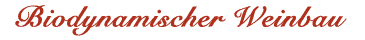 Biodynamischer Weinbau